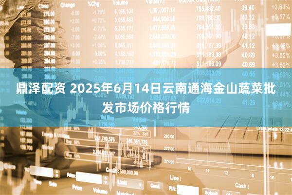 鼎泽配资 2025年6月14日云南通海金山蔬菜批发市场价格行情
