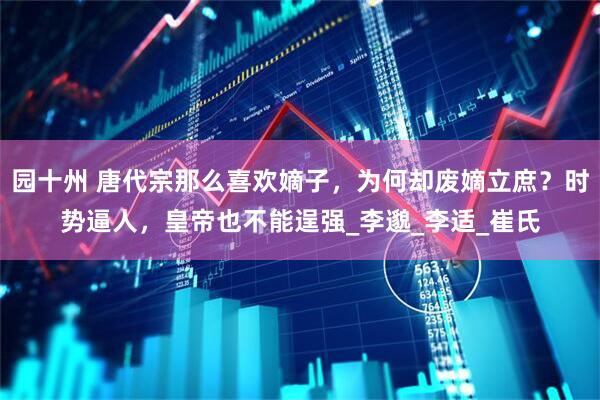 园十州 唐代宗那么喜欢嫡子，为何却废嫡立庶？时势逼人，皇帝也不能逞强_李邈_李适_崔氏