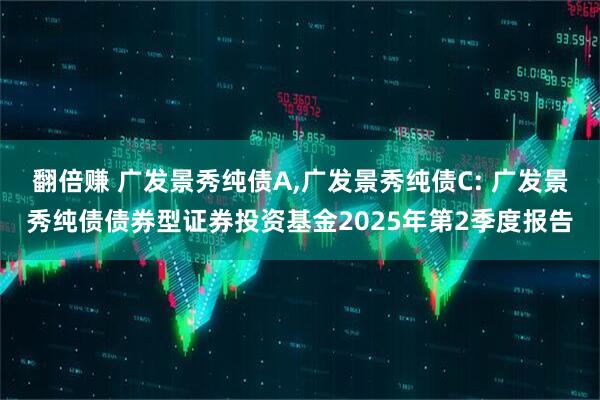 翻倍赚 广发景秀纯债A,广发景秀纯债C: 广发景秀纯债债券型证券投资基金2025年第2季度报告