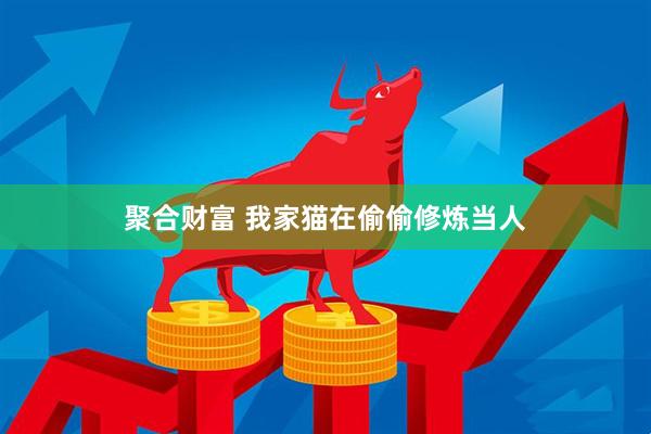 聚合财富 我家猫在偷偷修炼当人