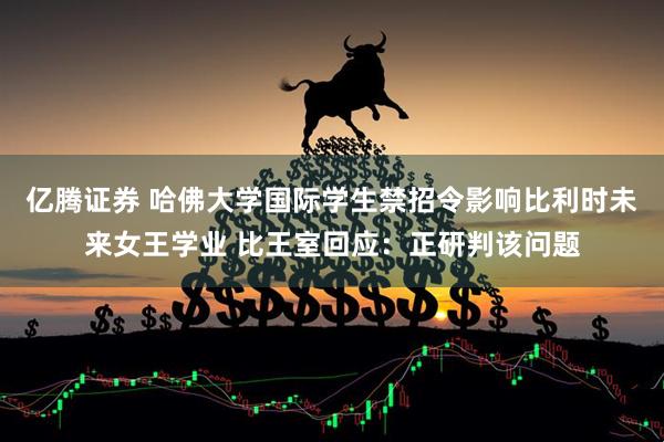 亿腾证券 哈佛大学国际学生禁招令影响比利时未来女王学业 比王室回应：正研判该问题