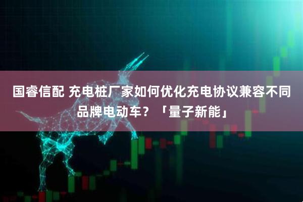 国睿信配 充电桩厂家如何优化充电协议兼容不同品牌电动车？「量子新能」